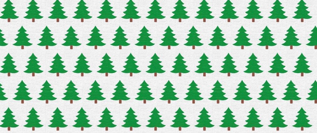In der gemeinsamen Adventsaktion mit Fair unterwegs wollen wir Anstoss geben für ein nachhaltiges Weihnachtsfest.
