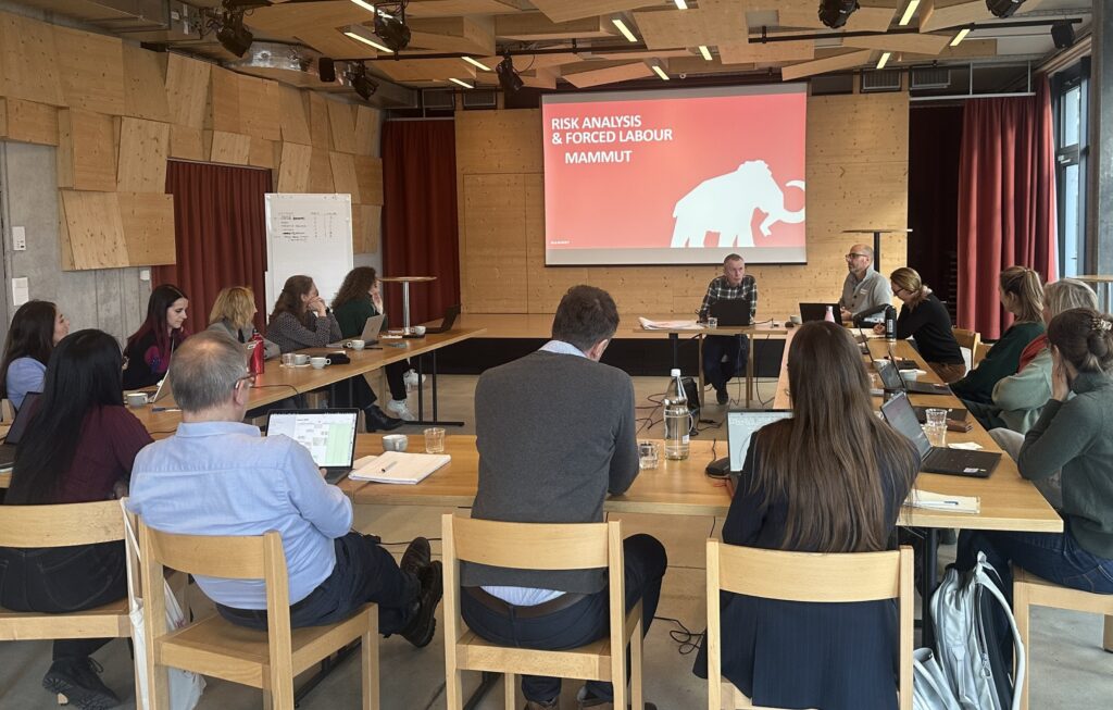 In diesem Workshop widmeten wir uns der Identifikation und Minderung von Risiken moderner Sklaverei und Zwangsarbeit in Lieferketten. Diskutiert wurden aktuelle regulatorische Anforderungen sowie praxisorientierte, systematische Ansätze zur Prävention.