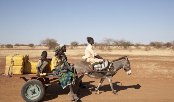 In der Sahelzone kam es in den letzten Jahren vermehrt zu Konflikten um die Landnutzung zwischen Bauern- und Viehzüchterfamilien. Das Projekt von Fastenopfer engagiert sich deshalb gemeinsam mit den betroffenen Akteuren für eine friedliche Lösung.
