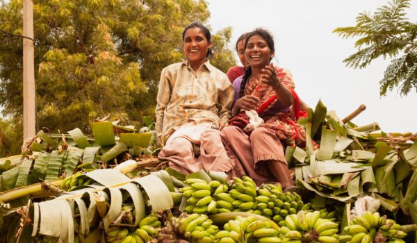 Le commerce équitable soutient l'agriculture familiale et se tient aux côtés des agriculteurs et agricultrices pour les aider à s'adapter aux conséquences du dérèglement climatique.